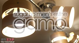 【お客様ご確認用】gamo様