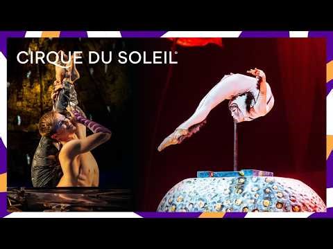 Bending the Impossible | OVO, LUZIA, Le Cirque Réinventé & Alegría | Cirque du Soleil