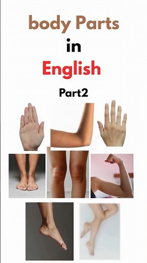Full Body Parts in English! part 2 🦵 | Learn Internal & External Organs + Pronunciation!#BodyParts