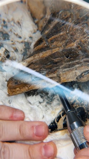 Curious about tools used in #fossil prep? Lets take a look at the air scribe. #perotmuseum #paleontology