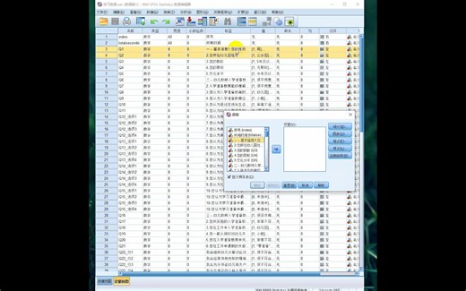 SPSS基础-样本信息-描述统计