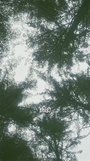 27 reactions | The ‘ears’ inside your body…Is this hidden sense...