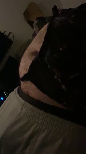 @i_am_a_hc on Instagram: "#feederism #bellyboy #bigbelly #bellyinflationboy #malefeederism love when I super tight wish i could be like this all the time"