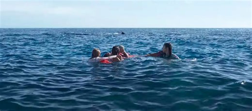 Another US Trailer for Shark Attack Movie 'Something in the Water' | FirstShowing.net