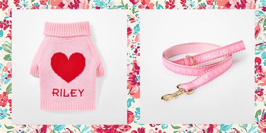 10 Cute Valentine’s Day Gifts for Pets to Pamper Your Furry Friend