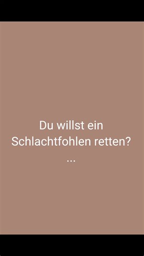 #horse #fohlen #aufzucht #horses #viralvideos