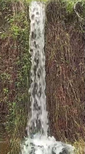 💧ASMR Relaxing Mini Waterfall Sounds | Refreshing & Calming Flow 🌿