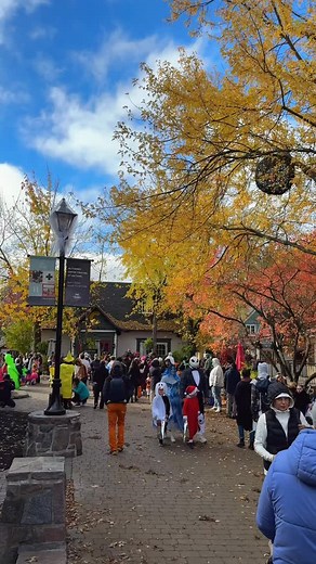 Une journée d’Halloween inoubliable remplie de rires, de frissons et de déguisements incroyables 👻🕸️ Merci à tous d’avoir célébré avec nous — à l’année prochaine pour encore plus de magie (et de bonbons 🍬) ! ⸻ An unforgettable Halloween day filled with laughter, chills, and amazing costumes 🎃🕷️ Thanks to everyone who joined the fun — see you next year for more spooky magic (and candy 🍭)! #halloween | Quoi Faire Tremblant