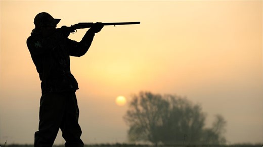 SIA : condition, création de compte et déclaration d'armes