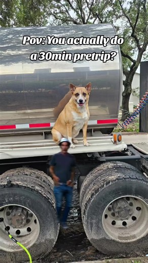 #CapCut #meme #trucker #truckerlife