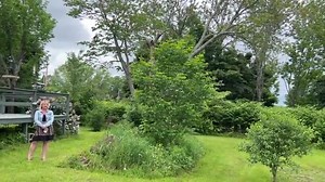 44 reactions |  #HomeForSale: Priced at just $135,000! This...