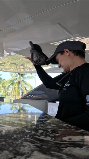 19K views · 621 reactions | Crew Dance Party!! #belowdeck #yacht #chef #crew #yachtie #food #cooking | Abbyinthegalley | Facebook