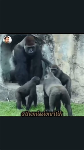 Ritik Panwar on Instagram: "Wait for end 😂 #themissionritik . . . . . . . . . . . . Disclaimer :- This video contains adult humor and strong language. Viewer discretion is advised. Not intended for audiences under 18. Original video credits to respective owners. For entertainment purposes only."