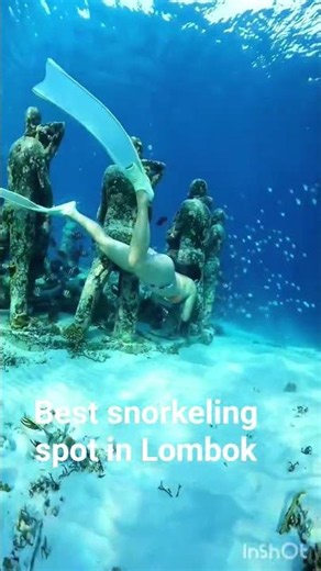 Lombok Snorkeling Trips