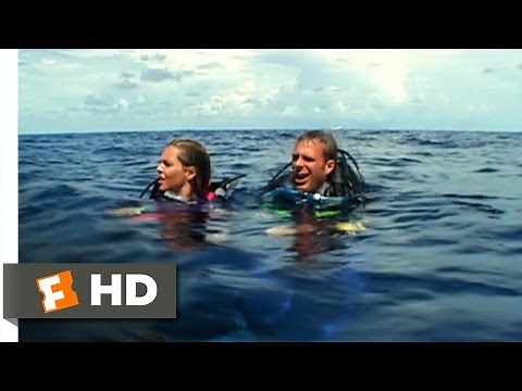 Open Water (3/11) Movie CLIP - Left Behind (2003) HD
