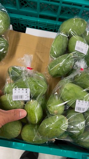 Melon na pwede sa tinola | Japan Farming Tambayan