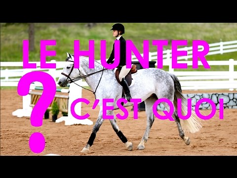 #8 Le Hunter Pour Les Nul (Explication simple,Histoire,Style,Équitation)