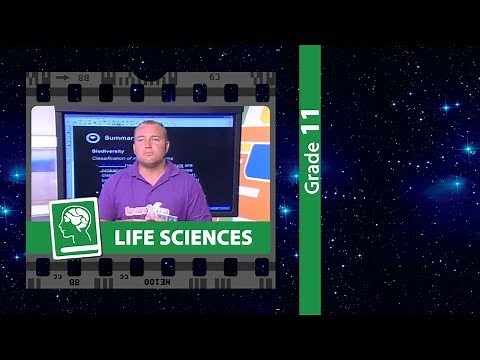 Biodiversity & Classification of Micro-organisms