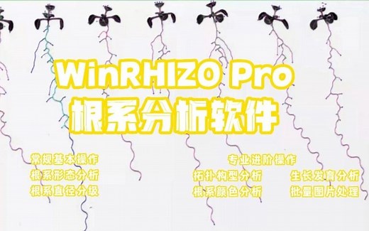 植物根系分析系统WinRHIZO Pro 软件操作演示视频((精华版)