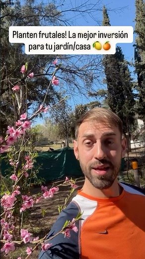 The Best Time to Plant Fruit Trees! 🍊🍋