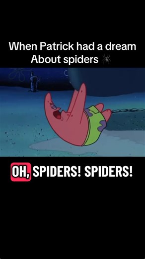 Daily SpongeBob Clips on Instagram: "The Spiders 🕷️ #reels #reelsinstagram #foryou #funny #hahaha #reelsforyou #spongebob #fyp #explorepage #reelsviral #lol #nostalgia #patrick"