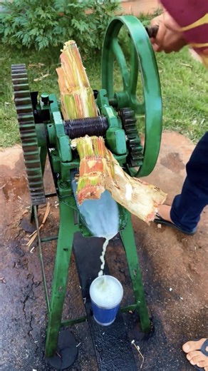 We learn how to make fresh sugar cane juice with @aliferferreira10 🤯 | Foodporn