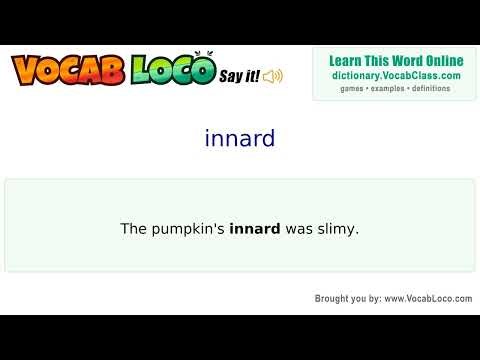 Innard – English Pronunciation, Definition, Synonyms, Antonyms, Example Sentence