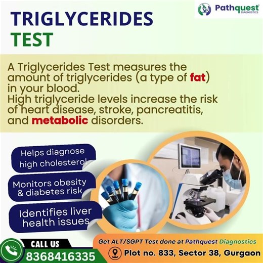 Triglycerides Test Explained — Procedure & Heart Health | Pathquest Diagnostics #pathology #blood