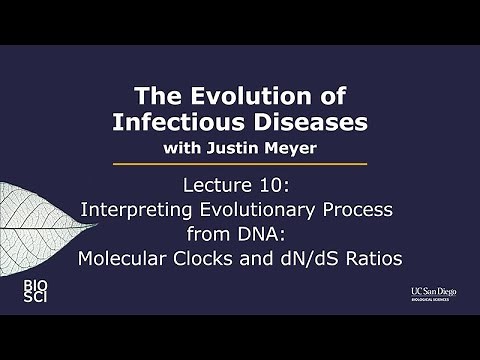 The Evolution of Infectious Diseases with Justin Meyer