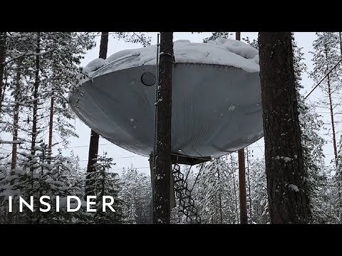 Tree House Looks Like A UFO