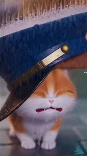 迷子の子猫ちゃん3/4 #猫 #cat #迷子 #警察 #犬 #雀 #烏