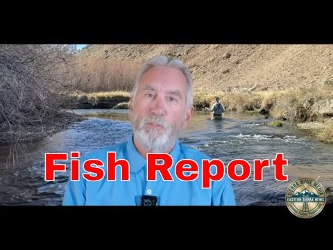 Fred Rowe's Fish Report March 11th