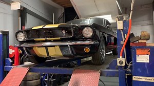 Magnificent '66 Shelby GT350H Hertz now for sale. Not a replica, the real deal, restored to perfection. One of a thousand Shelby Rent-a-Racers ever made, and in 1966 at 17 dollars a day and 17 cents a mile these were the hottest rental deal ever! | Toughest Cars