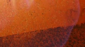 FINAL DESTINATION:Bloodines.14 may 2025. © February ²⁰²⁵.