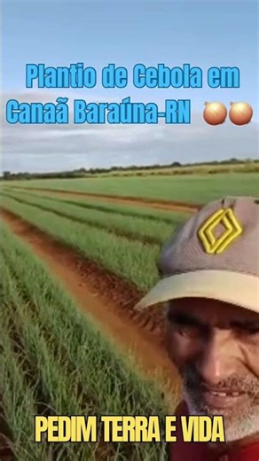 🚜 Farm Life: Onions Almost Ready for Harvest 🧅 🧅