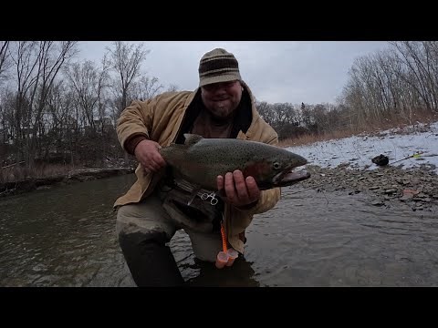 Cold and crisp Conneaut Creek steelhead