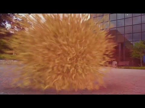 DADO's Banana Pill | The Foundation: SCP 3521 (feat. dado)