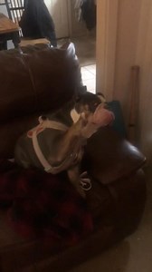 Check out Penelope doing her awesome tricks and holding the paw up at the end. 😎😎😎😎😎 | Lane McGuire