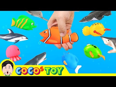 Catching animals in streamsㅣsea animals cartoon for kidsㅣCoCosToy
