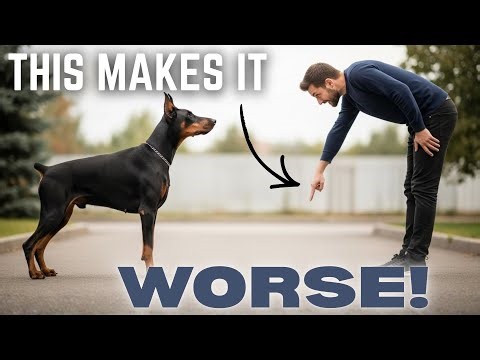 The Biggest Mistakes New Doberman Owners Make (& How to Fix Them Fast)