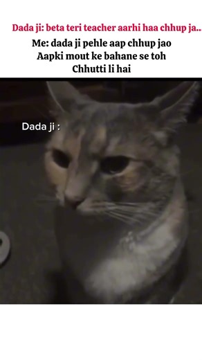 sala mai ese bacha rha thap😅#trending#shorts#youtubeshorts#viral#relatable#reels#funny#cat#anime#fun