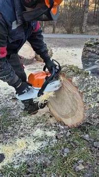 Chainsaw Stihl MS 362 Tree Cutting Splitting Axe #chainsawman #how #wood #tree