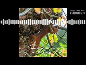 7 Reasons to use Post Processing