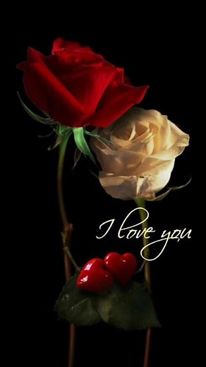 Beautiful Romantic Roses with Love Message