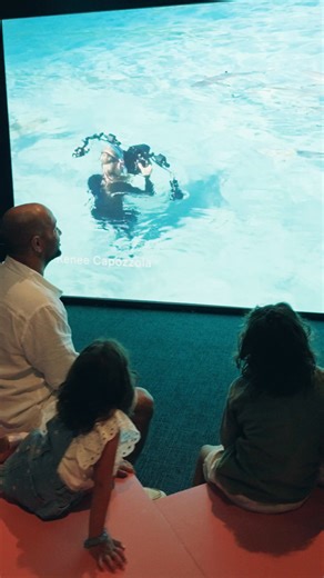 8.9K views · 11 reactions | See the planet’s most powerful ocean photography up close at the Ocean Photographer of the Year, on now at the Maritime Museum.  | Australian National Maritime Museum | Facebook