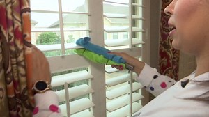 Cheap and easy DIY spring cleaning hacks