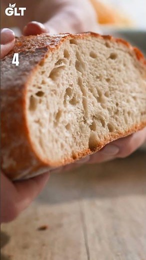 6 Powerful Probiotics Foods You Must Eat