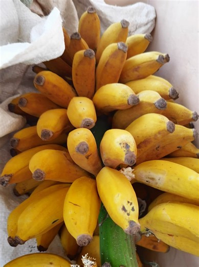 Delicious Sweet Banana Recipes to Try This Week