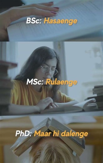 #BSc#MSc#PhD😍