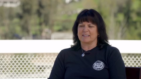 Staffordshire bull terriers I love them so much